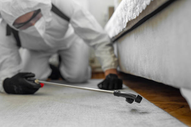 Professional Bed Bug Control technician working in Fife Heights, WA