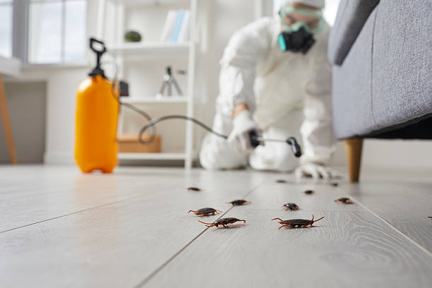 Trusted Mosquito Control service in Fife Heights, WA - Nex Pest Control
